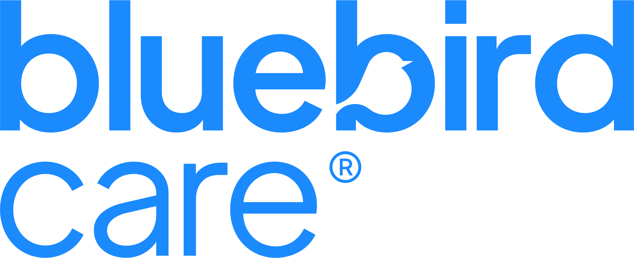 Home and Live-in Care - Bluebird Care West Berkshire image