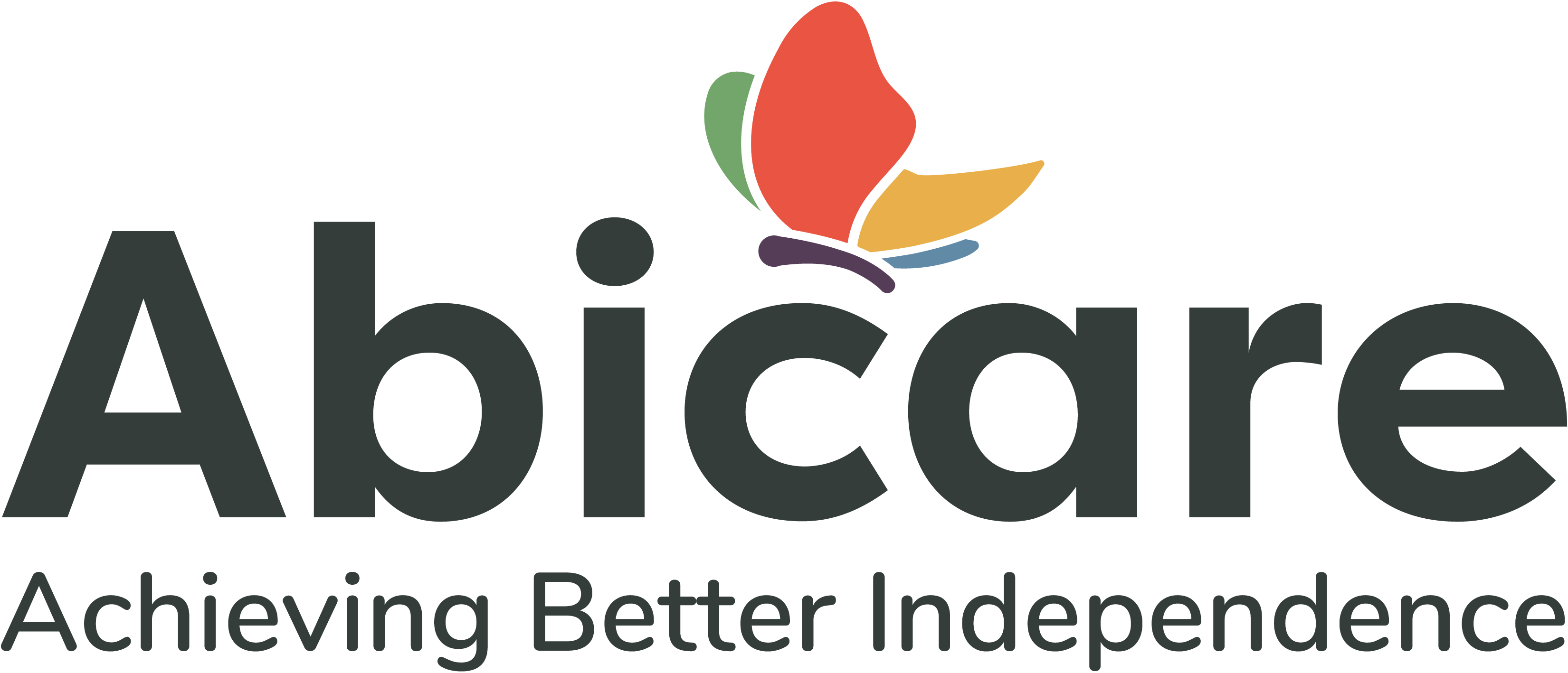Live-in care - Abicare image